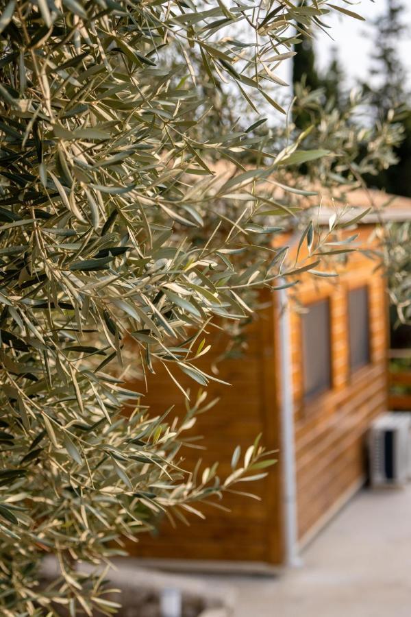 Agrelia Homes Dragano 외부 사진